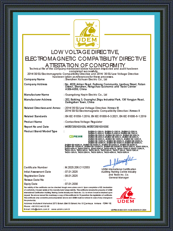 DSJ Electrical Co., Ltd.