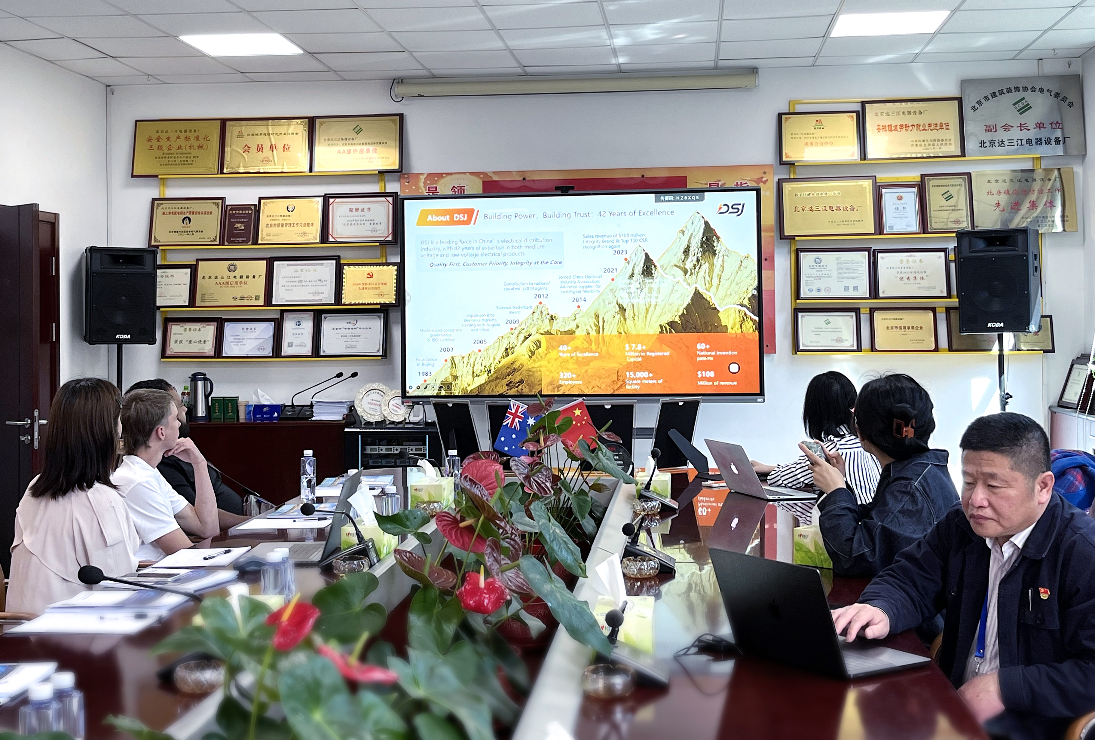 DSJ Electrical Co., Ltd.