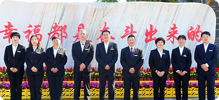 DSJ Electrical Co., Ltd.